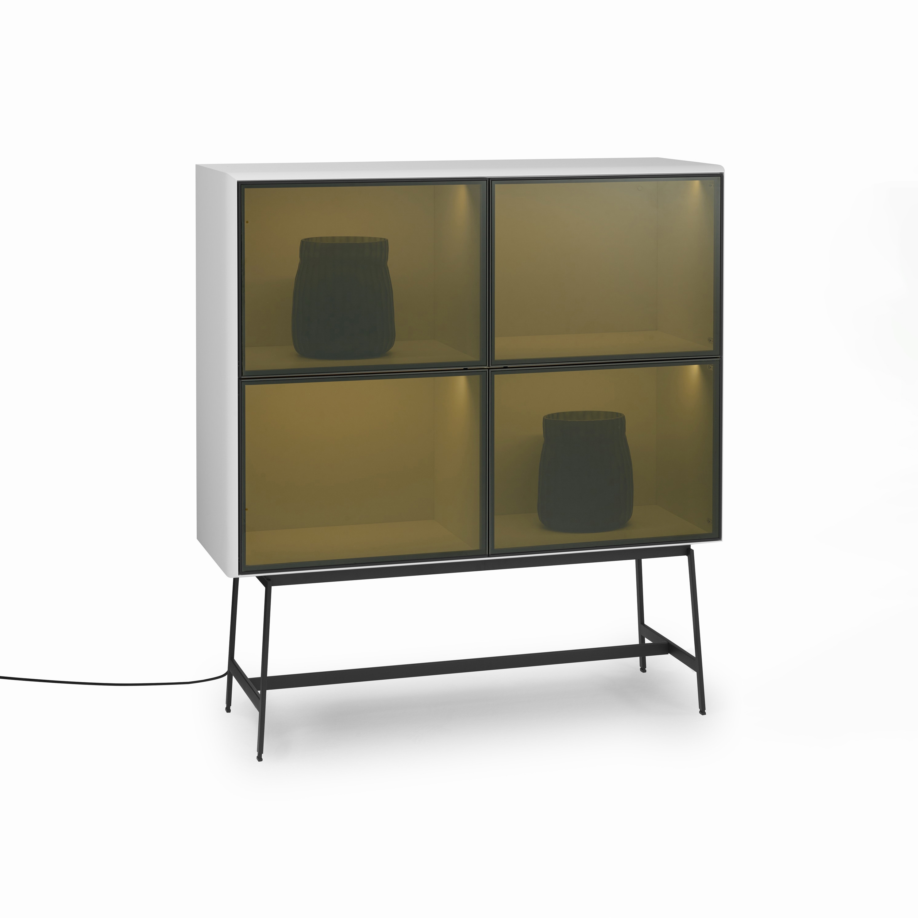 S100 Display Cabinet