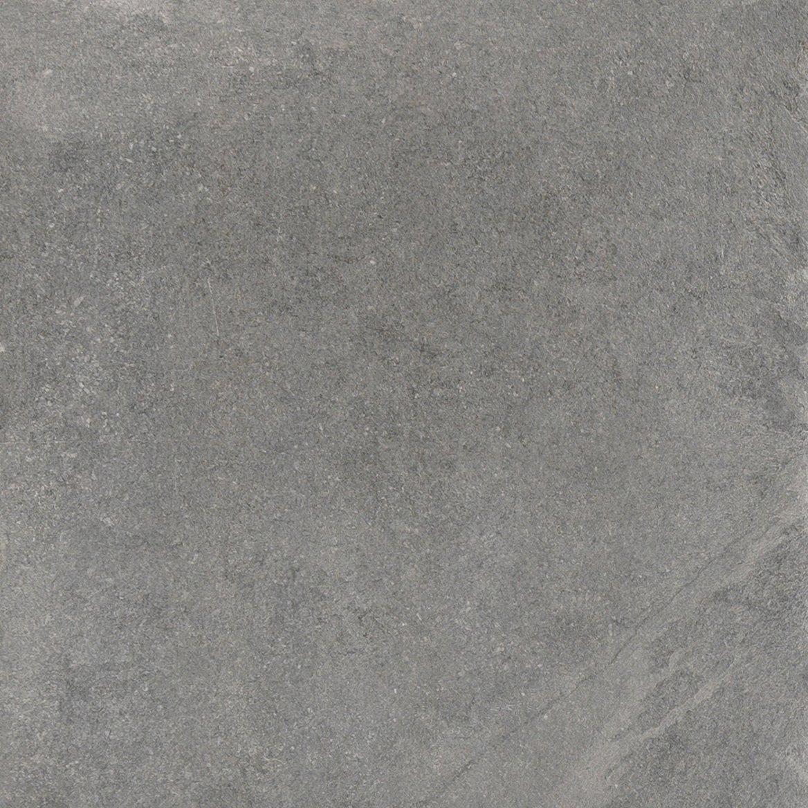 Proxi Grigio