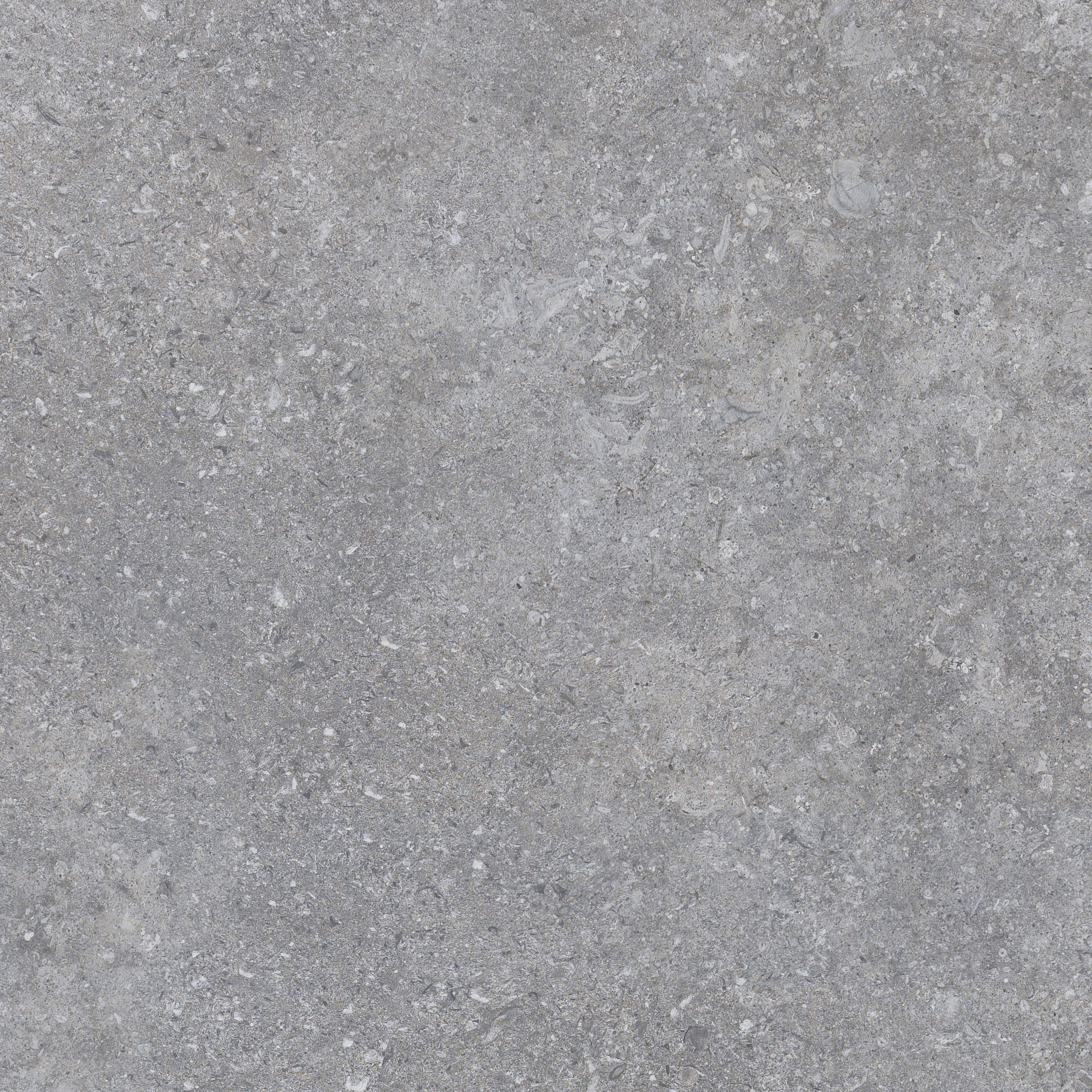 Shellstone Grey