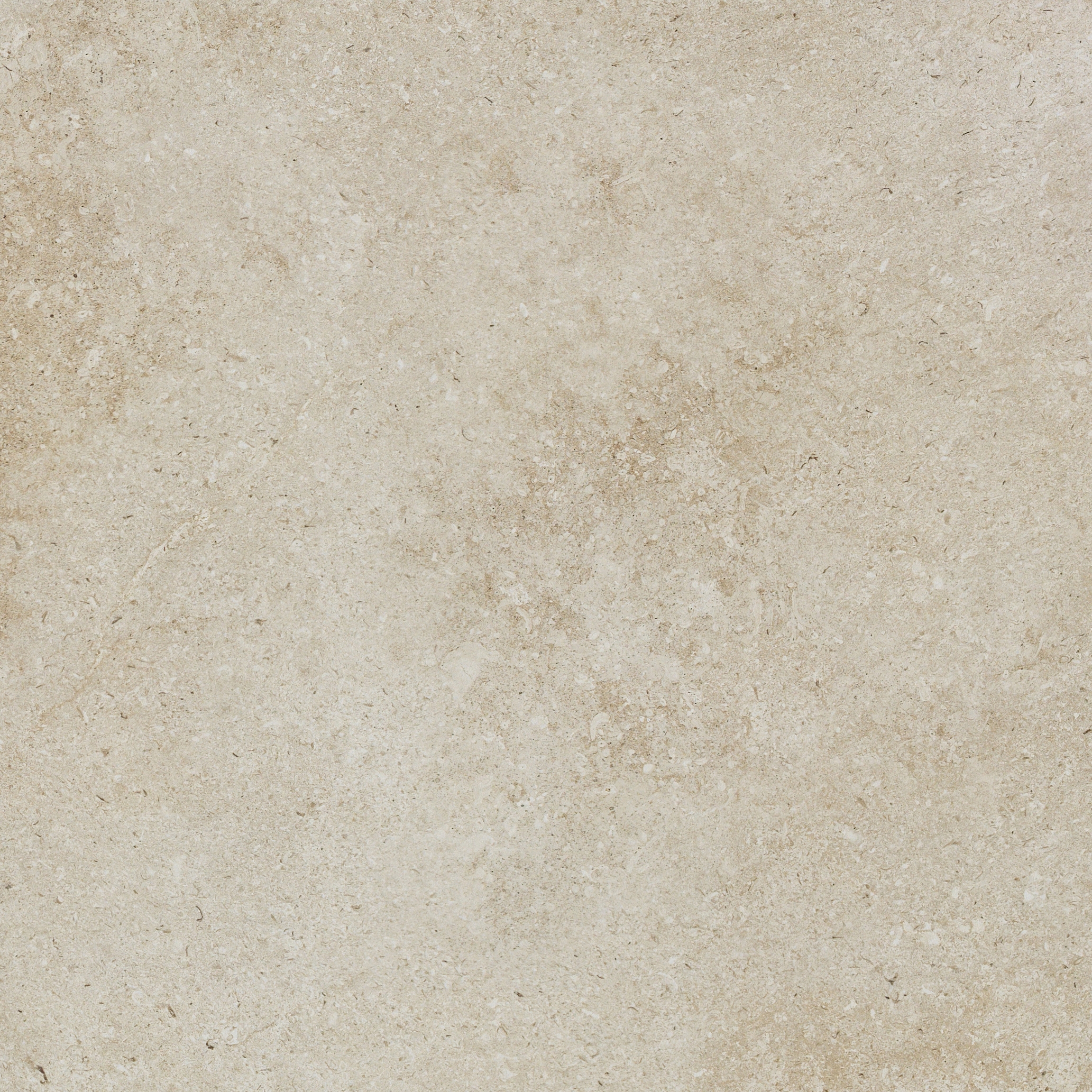 Shellstone Sand