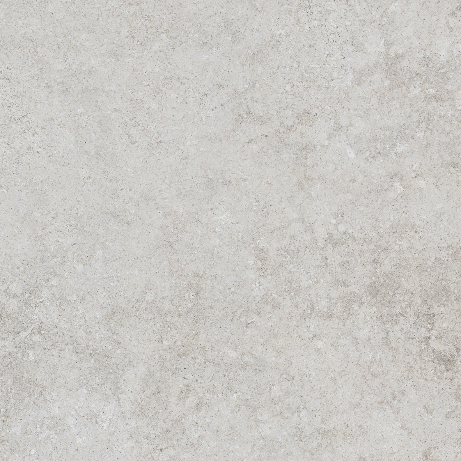 Shellstone White