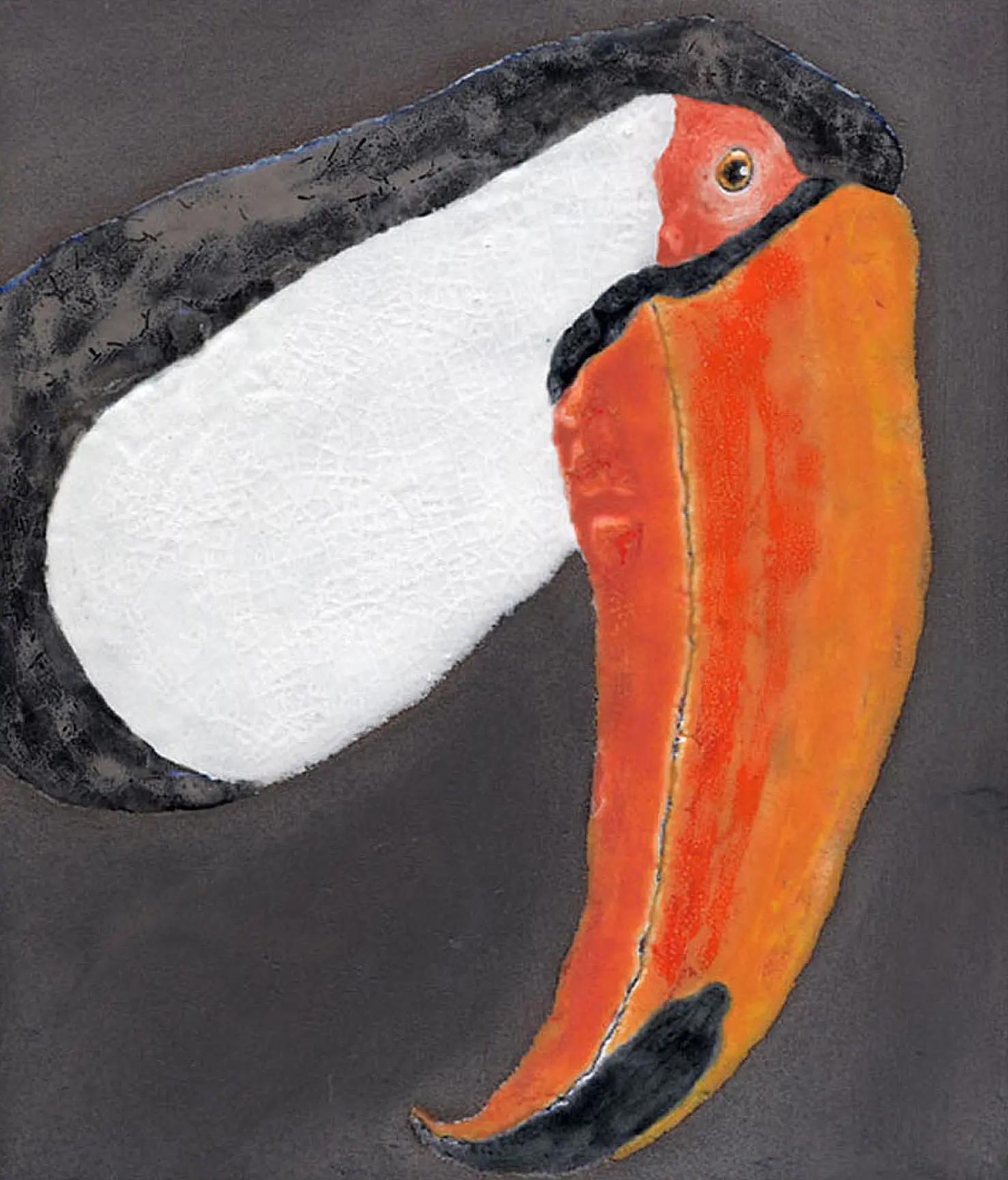 Ulrike Weiss - Amazonia