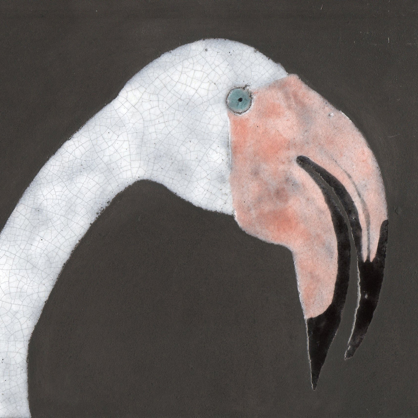 Camargue