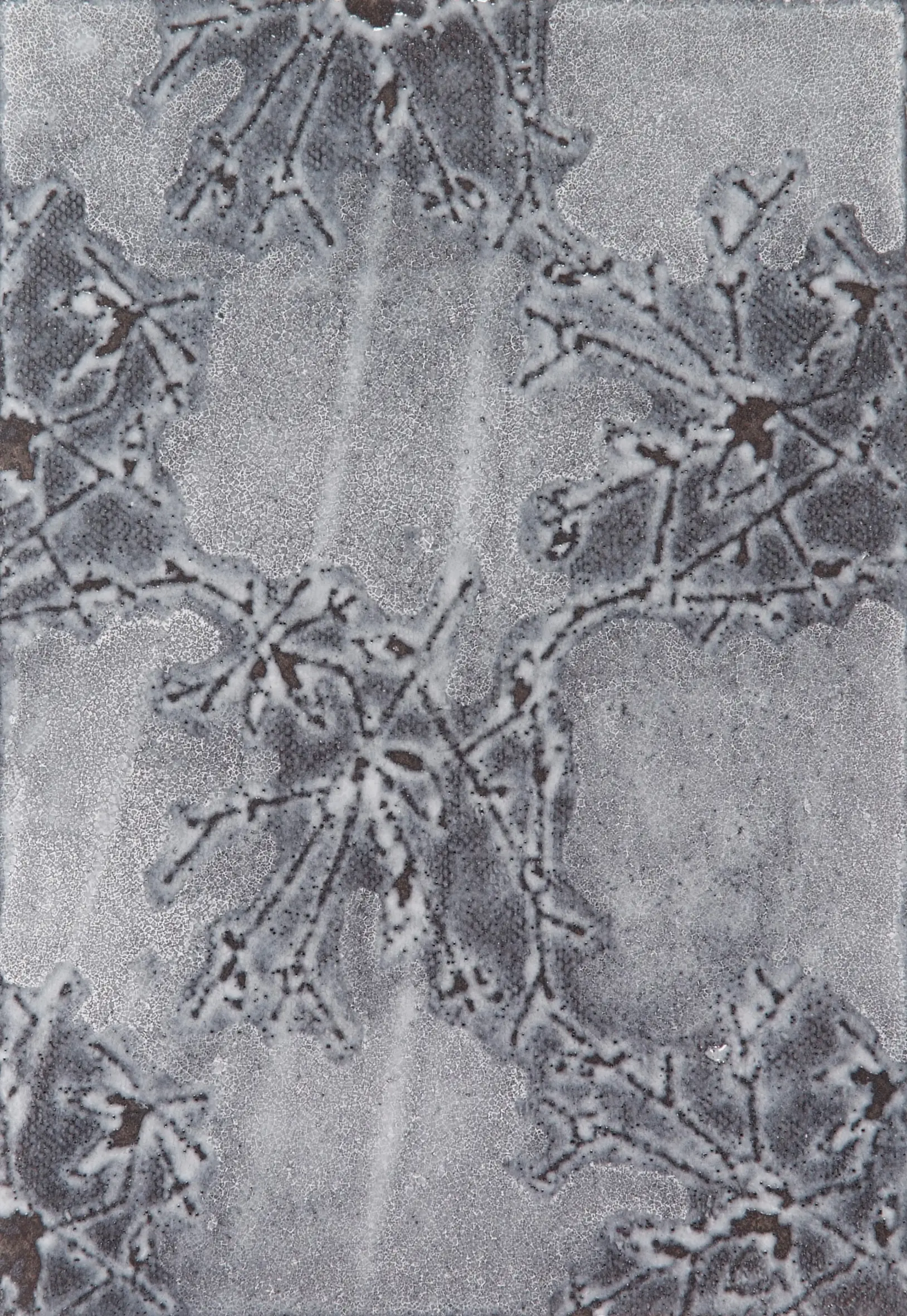 Ulrike Weiss - Camelia