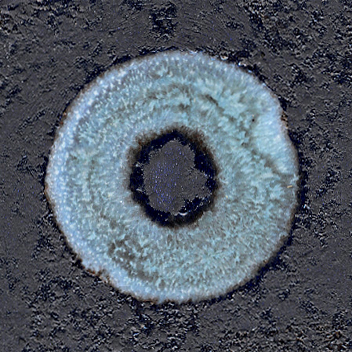 Circle 2