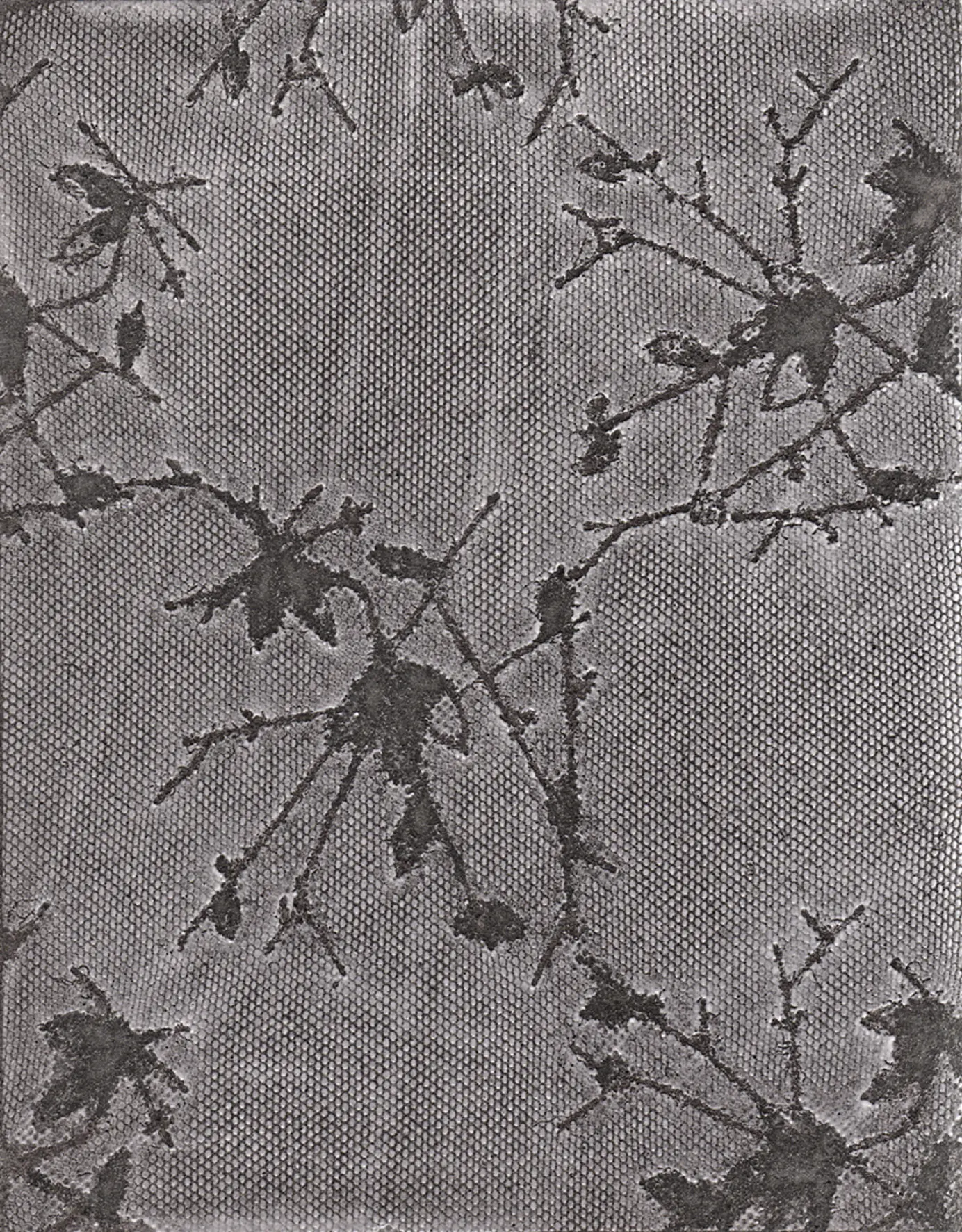 Ulrike Weiss - Violetta