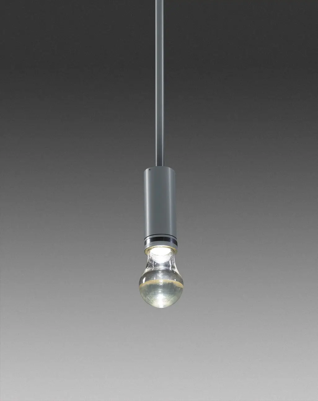 Neidhardt - Flex A19 Pendant