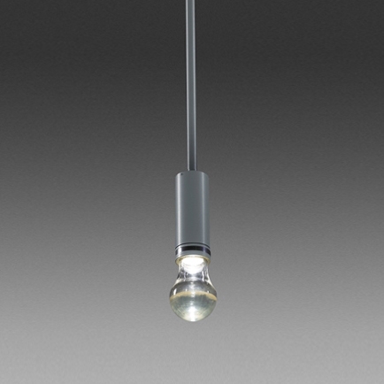 Display product Flex A19 Pendant from manufacturer Neidhardt