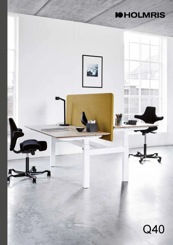 Immagine di anteprima del file Q40