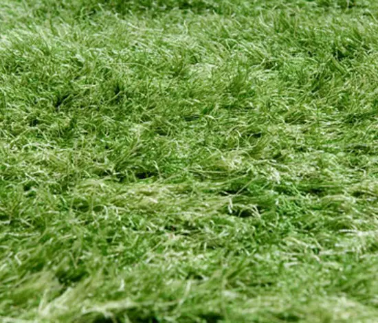 a-carpet - Standard