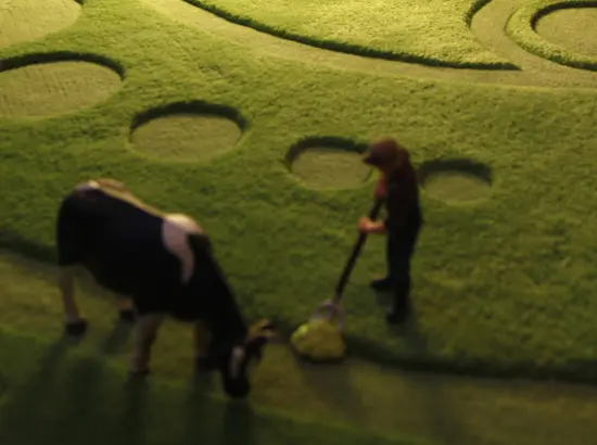 a-carpet - Golden Ball