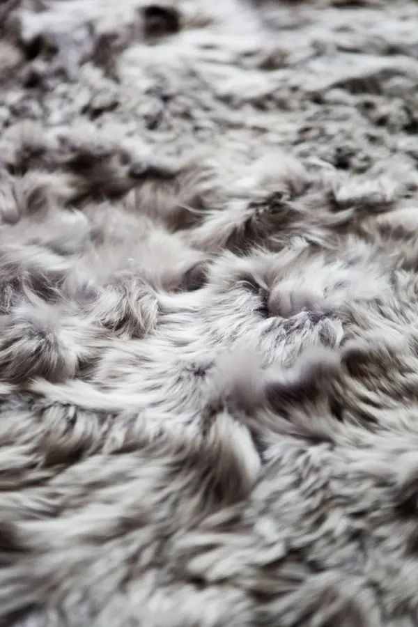 a-carpet - Alpaka