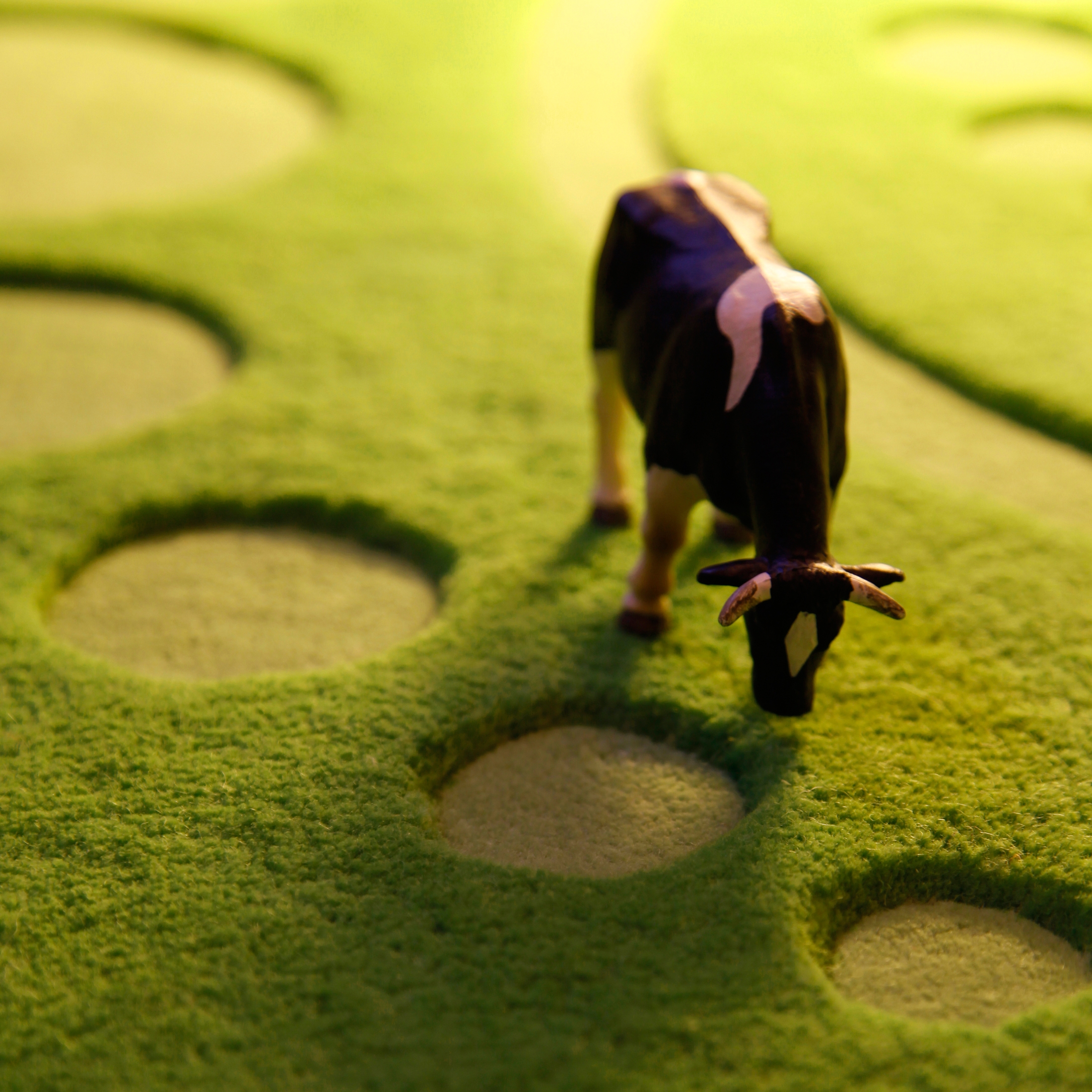 Afficher le produit Golden Ball du fabricant a-carpet
