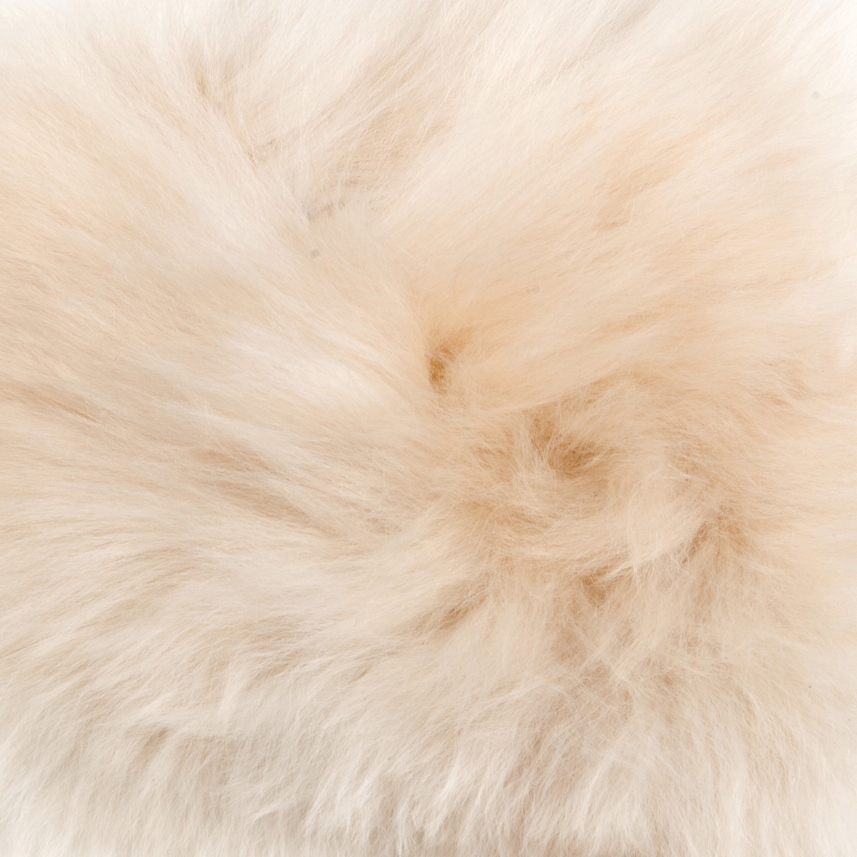 Afficher le produit Alpaka du fabricant a-carpet