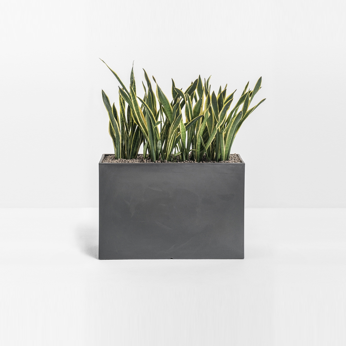 Display product Kado from manufacturer PEDRALI