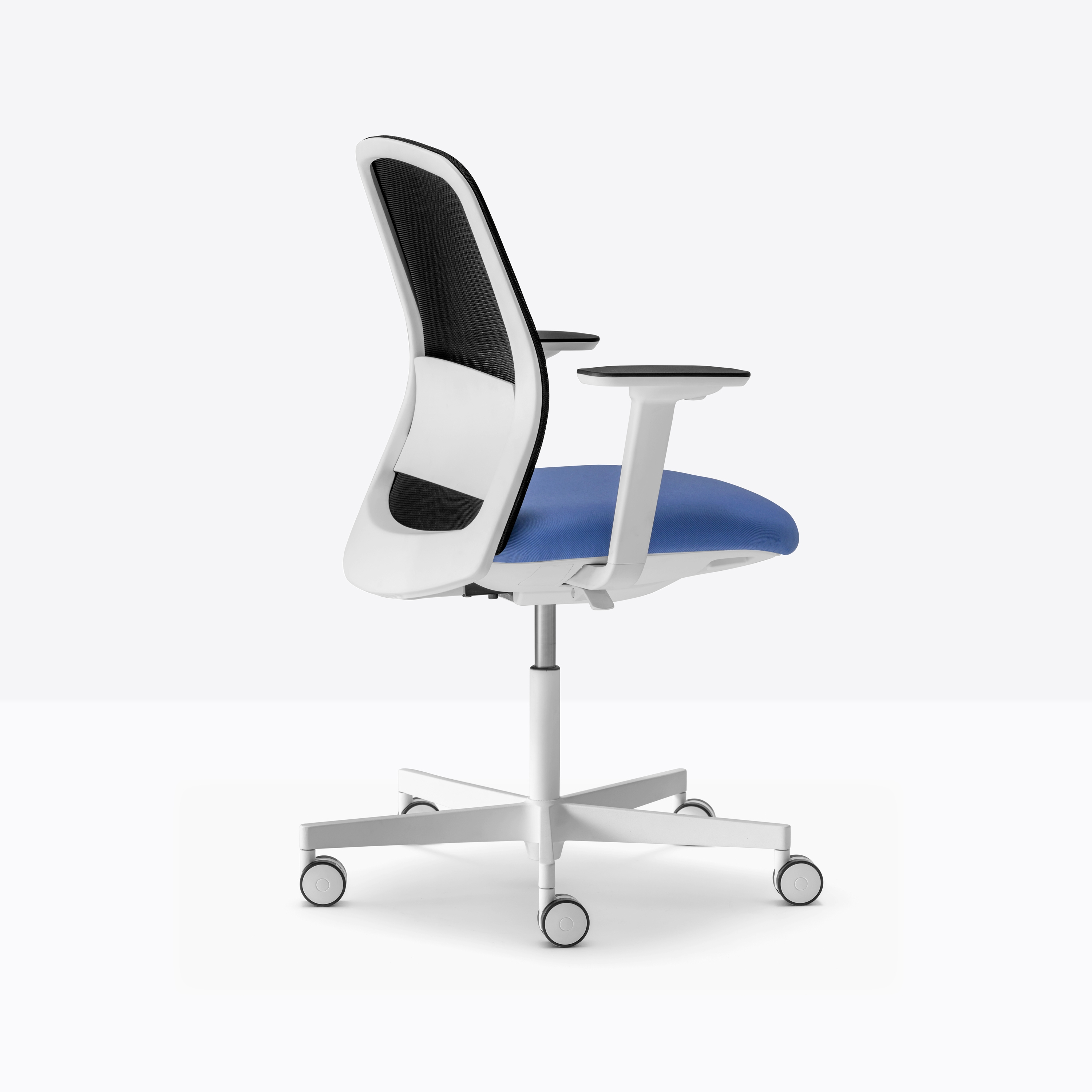 Polar 3775 3776