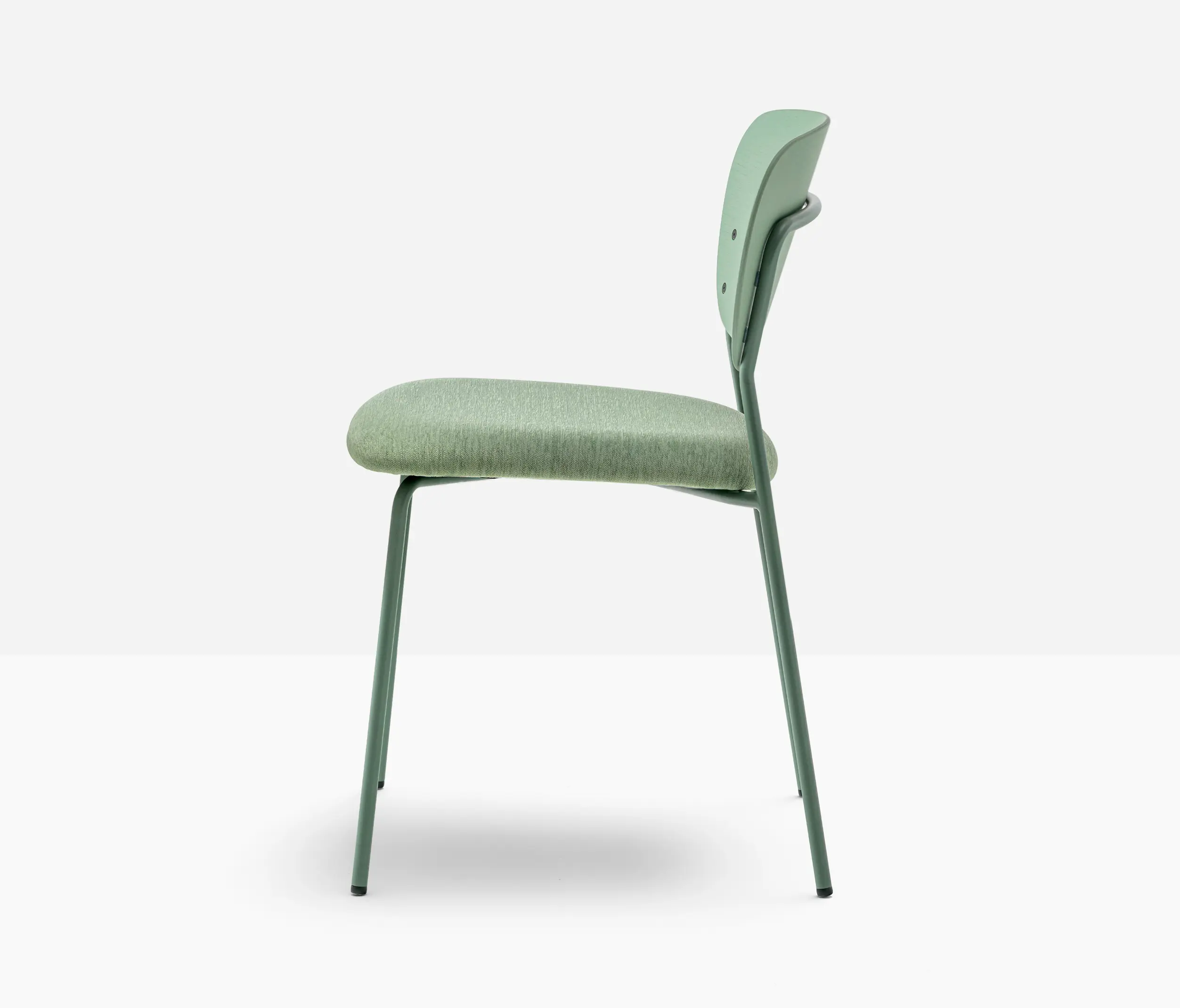 PEDRALI - Jazz
