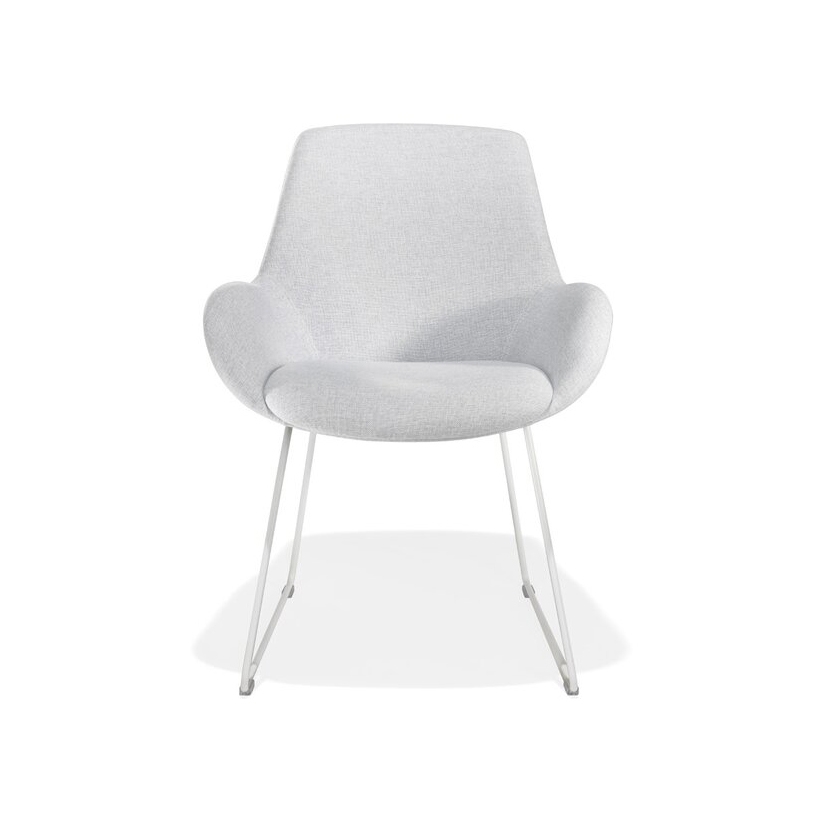 Lupino armchair metal sled base