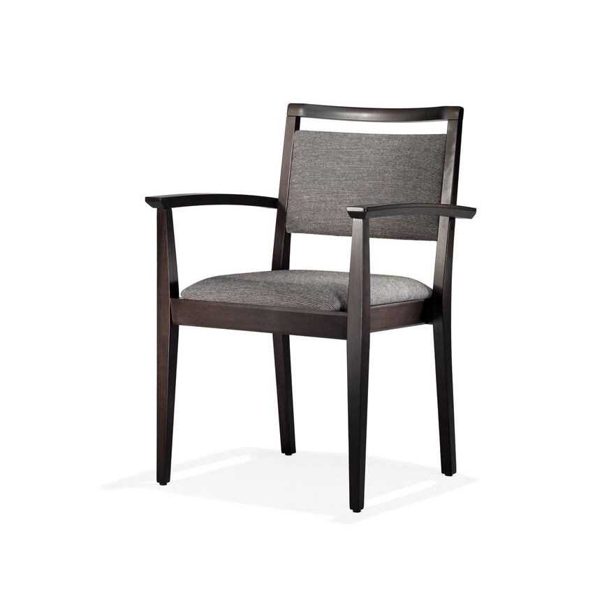Luca chair with handle bar