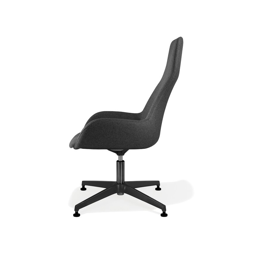 Lupino armchair aluminium base