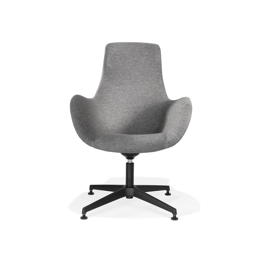 Mostra il prodotto Lupino armchair aluminium base del produttore Kusch+Co