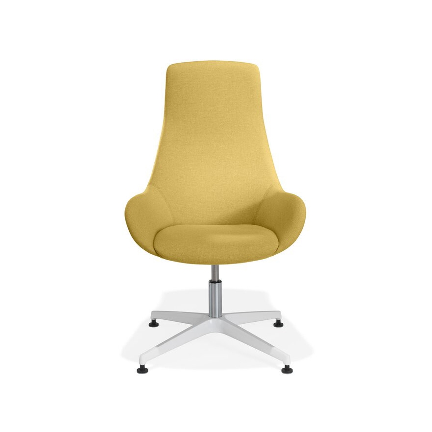 Lupino armchair aluminium base