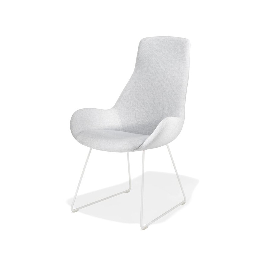 Mostra il prodotto Lupino armchair metal sled base del produttore Kusch+Co