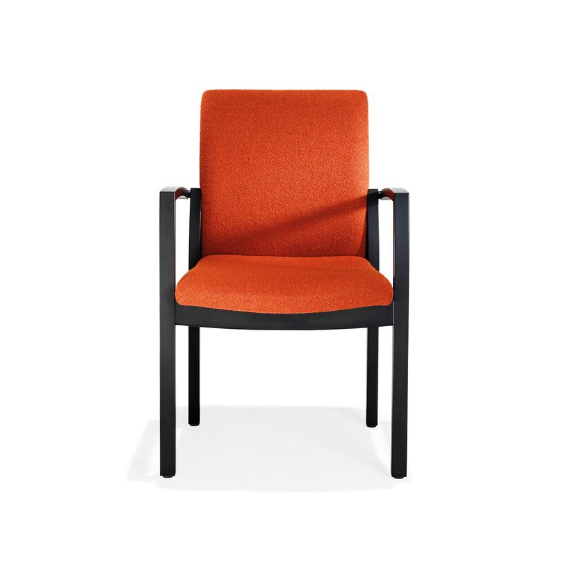 Palato armchair on wooden frame