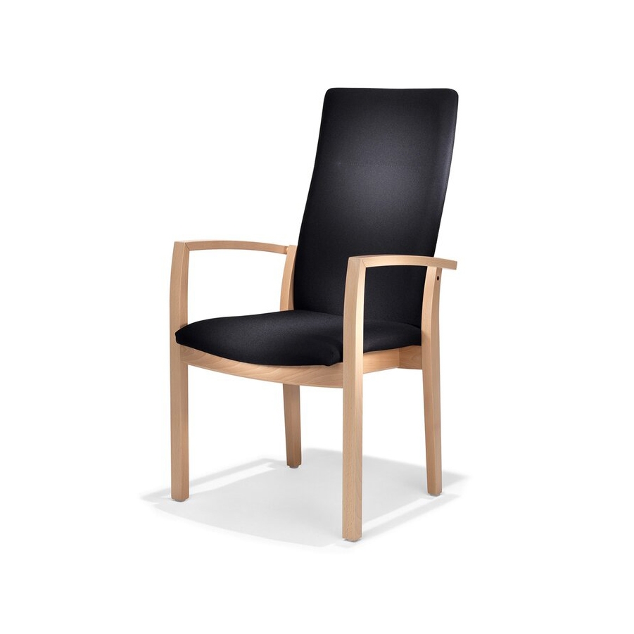 Mostrar el producto Palato armchair on wooden frame del fabricante Kusch+Co