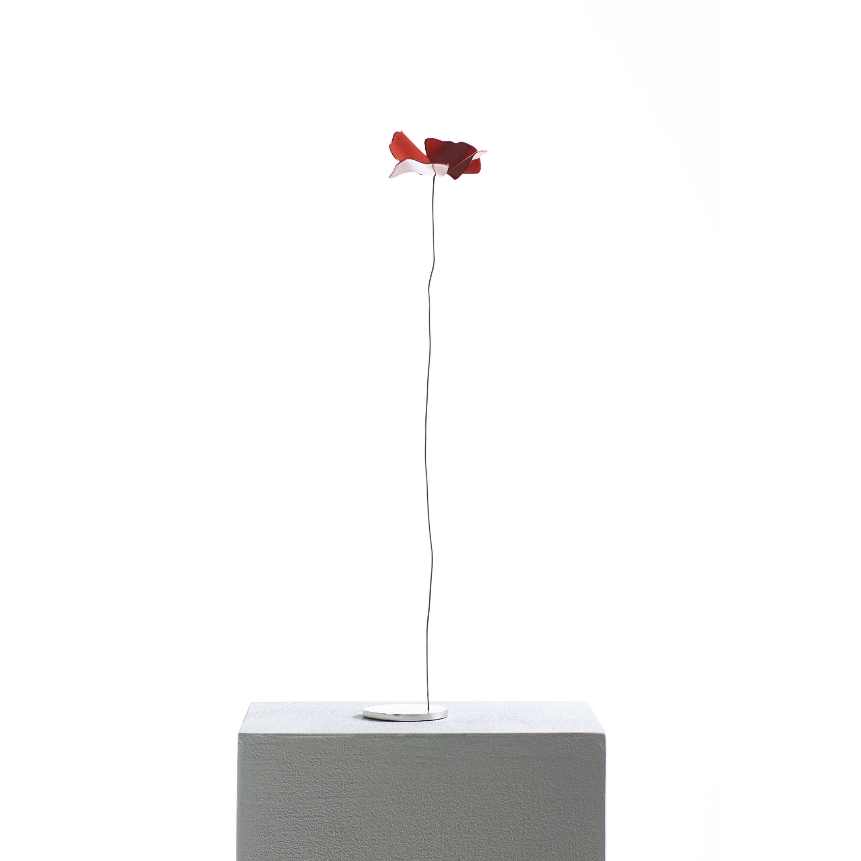 Display product Papaveri delicati from manufacturer Opinion Ciatti