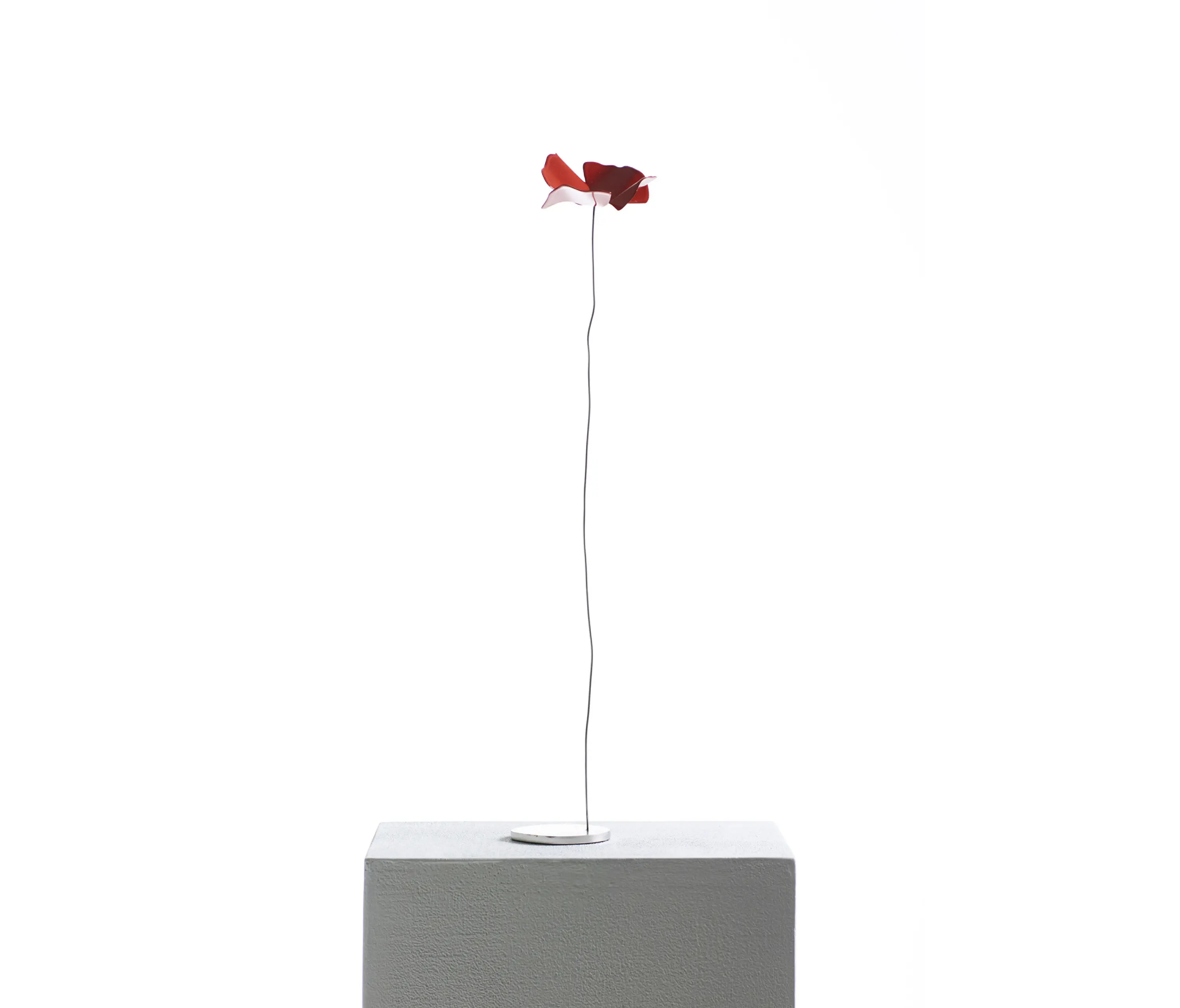 Opinion Ciatti - Papavero delicato scultura da tavola