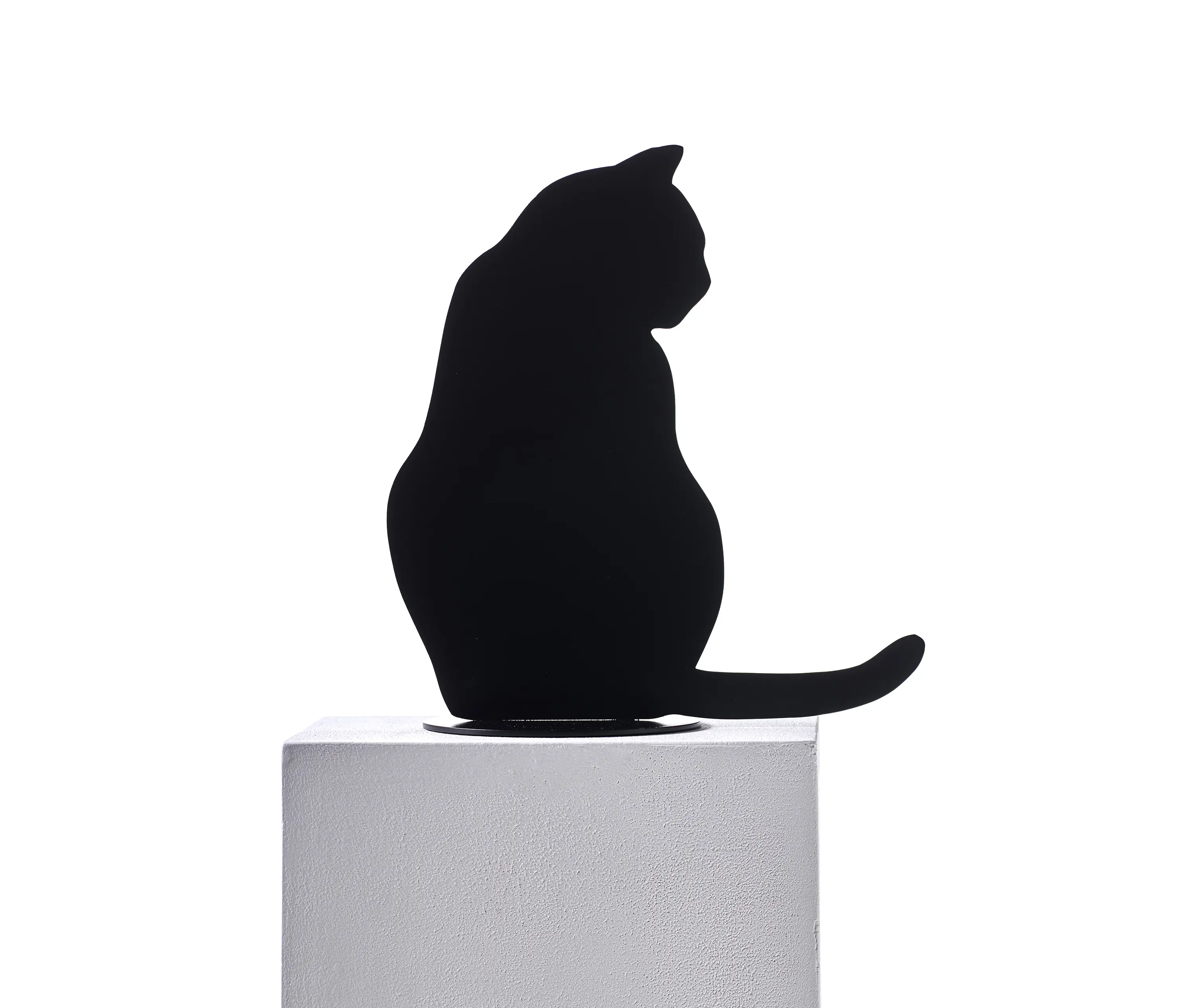 Opinion Ciatti - Ombres de chats