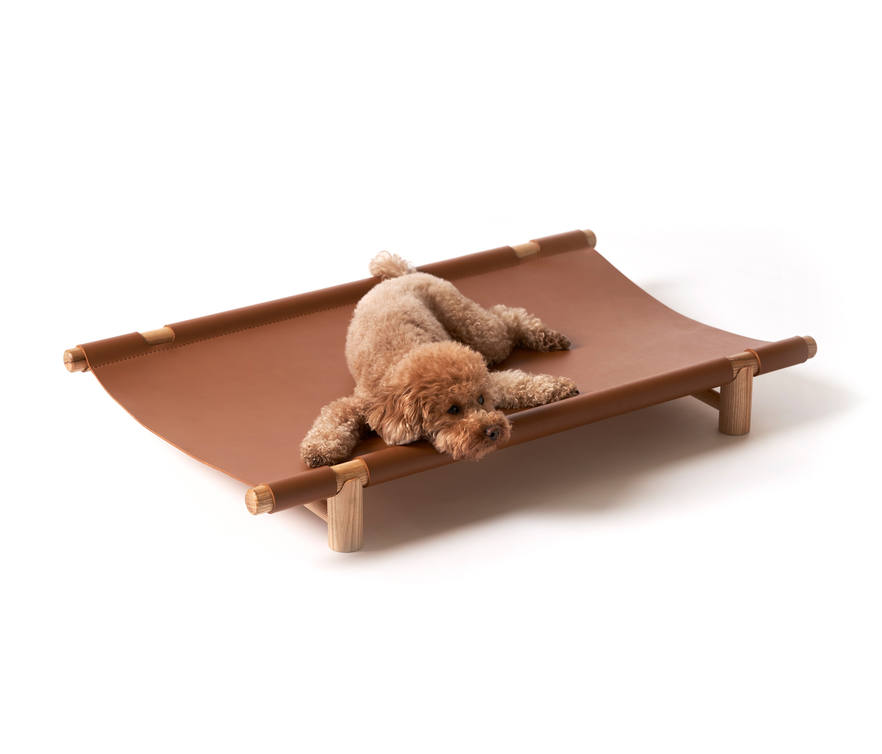 Explorar productos de la categoría Camas para perros