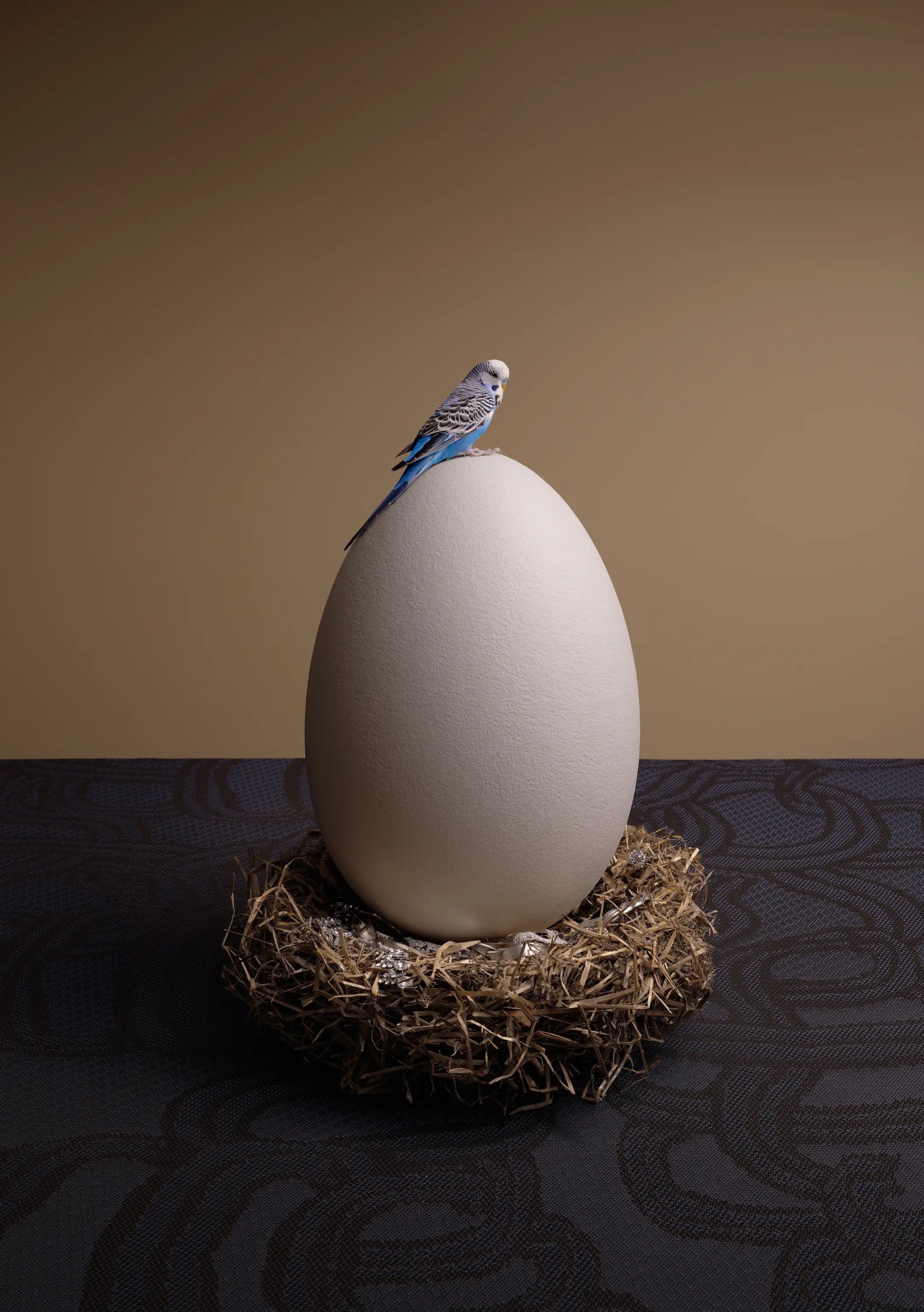 Bolon - Diversity Bouquet Pure