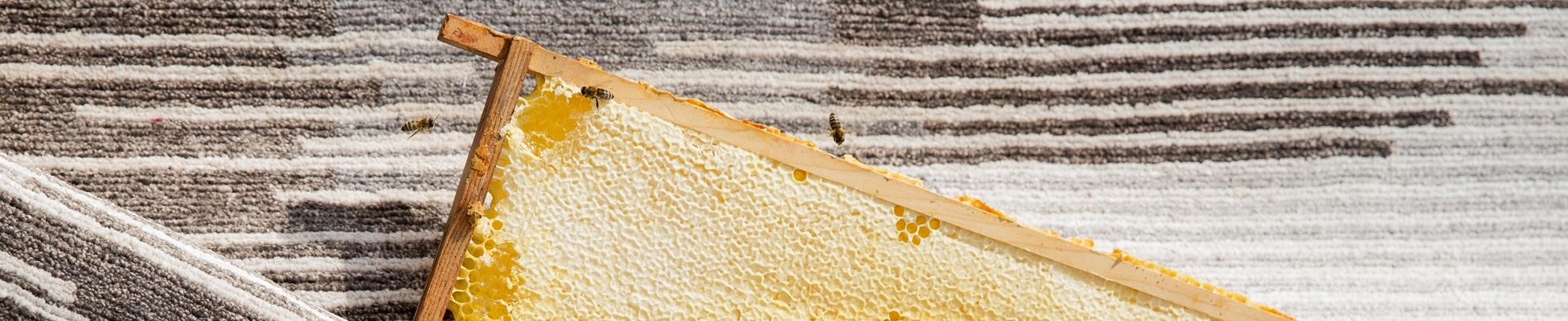 Discover the world of manufacturer Domaniecki