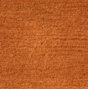 Domaniecki - Tibarto 100 AW1737