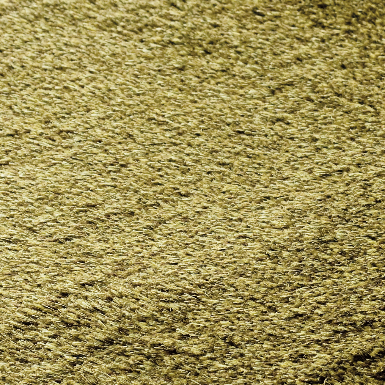 SG Northern Soul Low Cut green grass