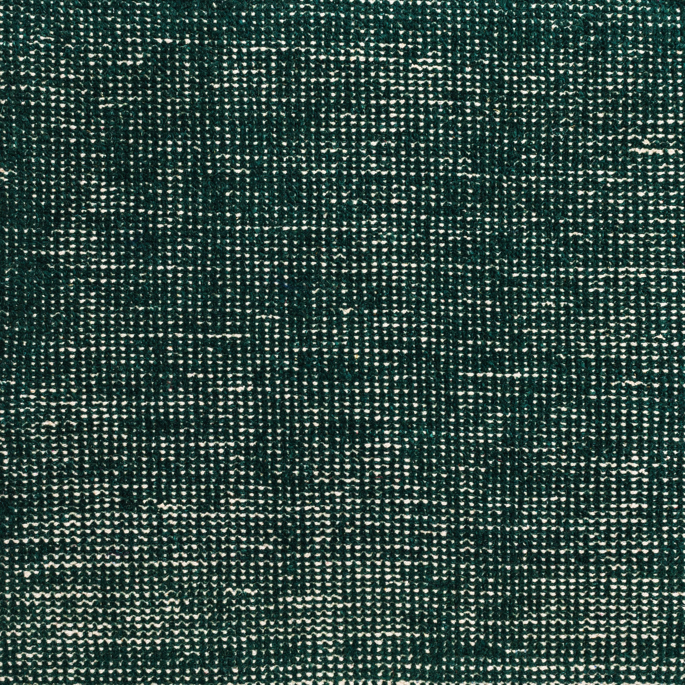 Dune rainforest