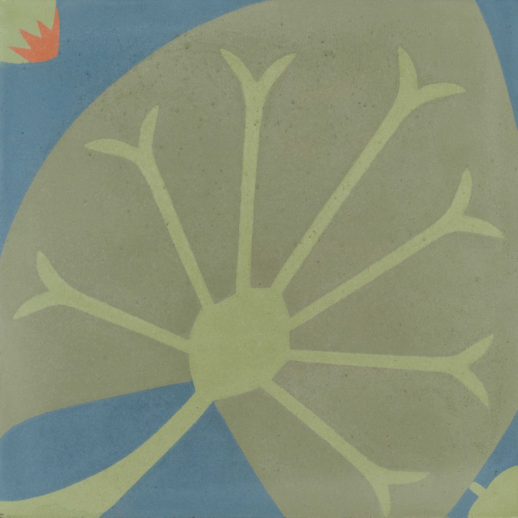 Cement tile