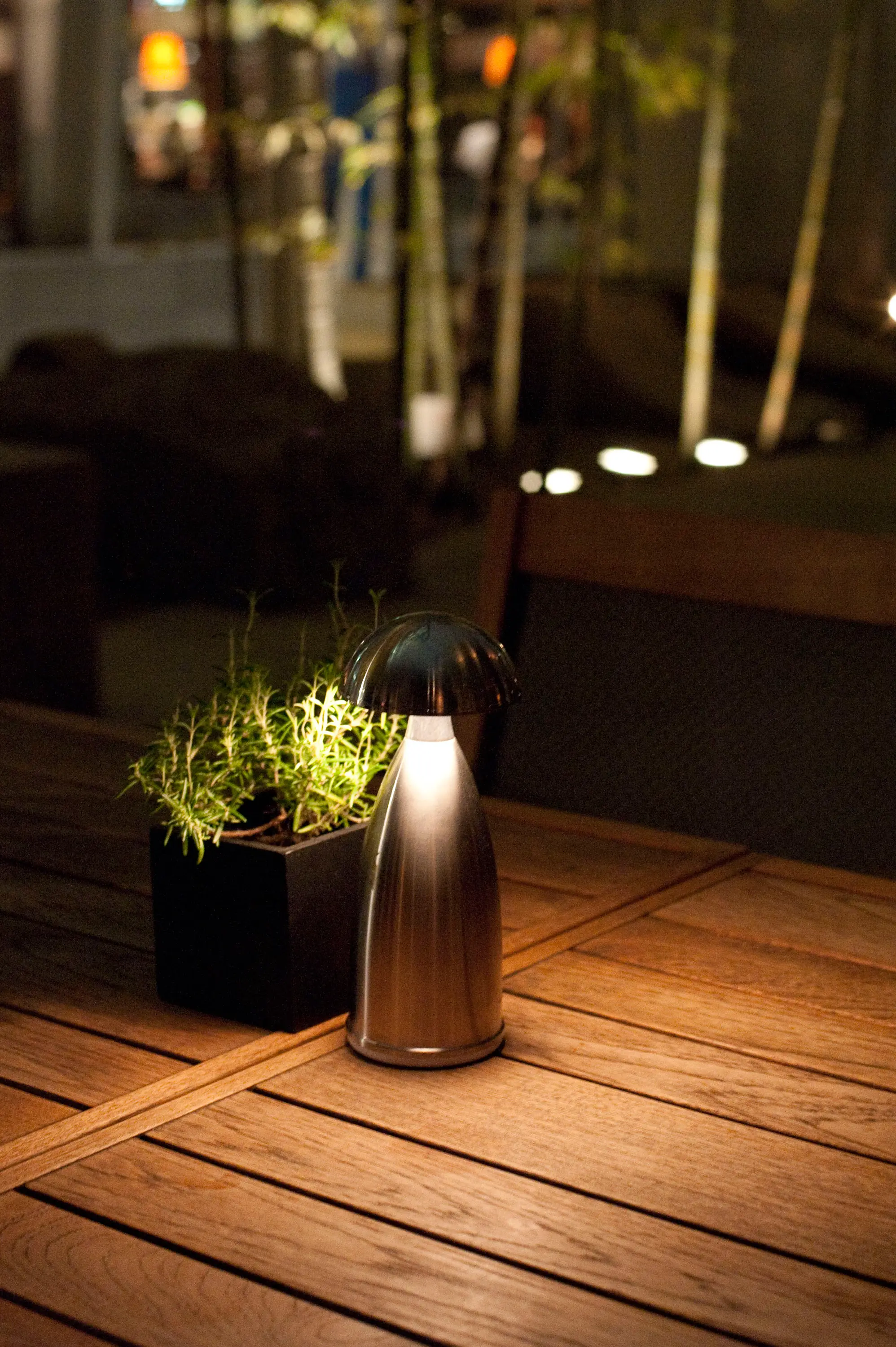 Neoz Lighting - Owl 1 Tall