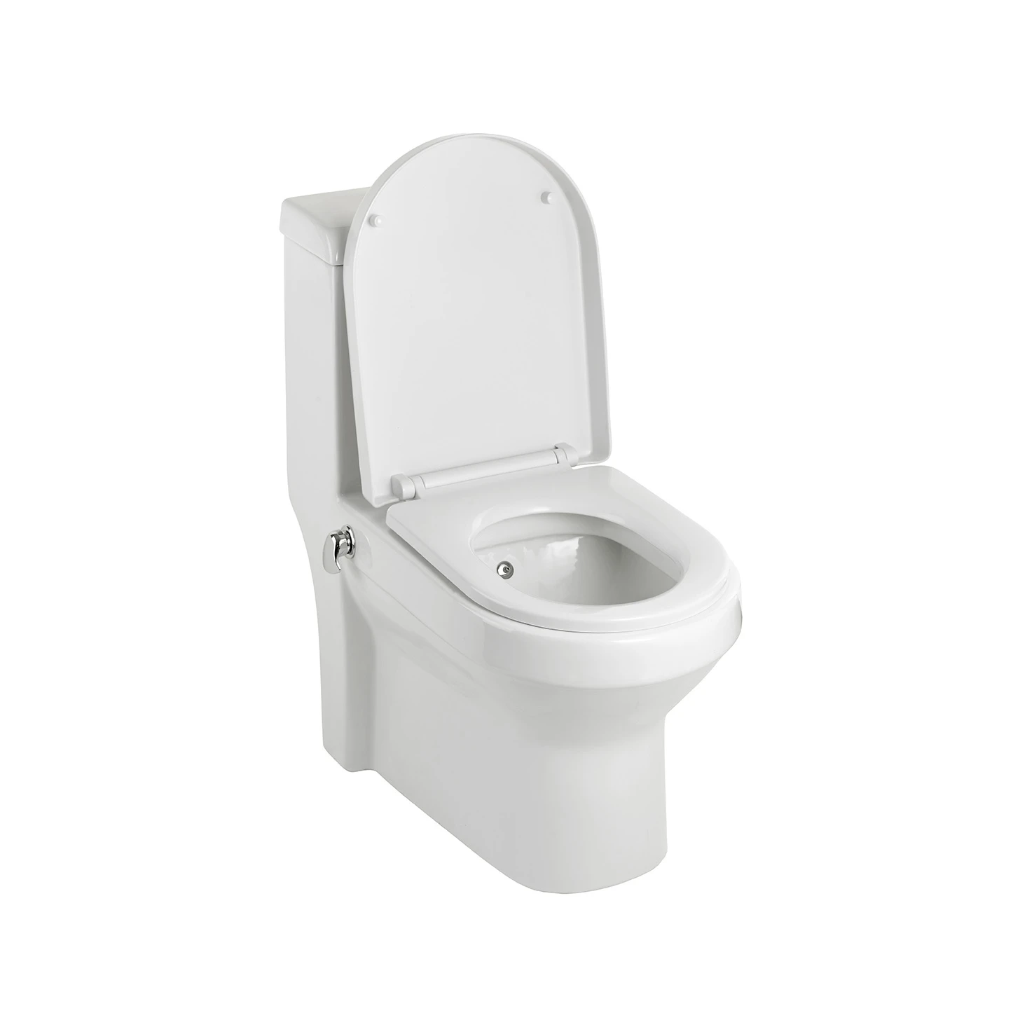 ASIAN TOILETS AND BIDET SPRAYS