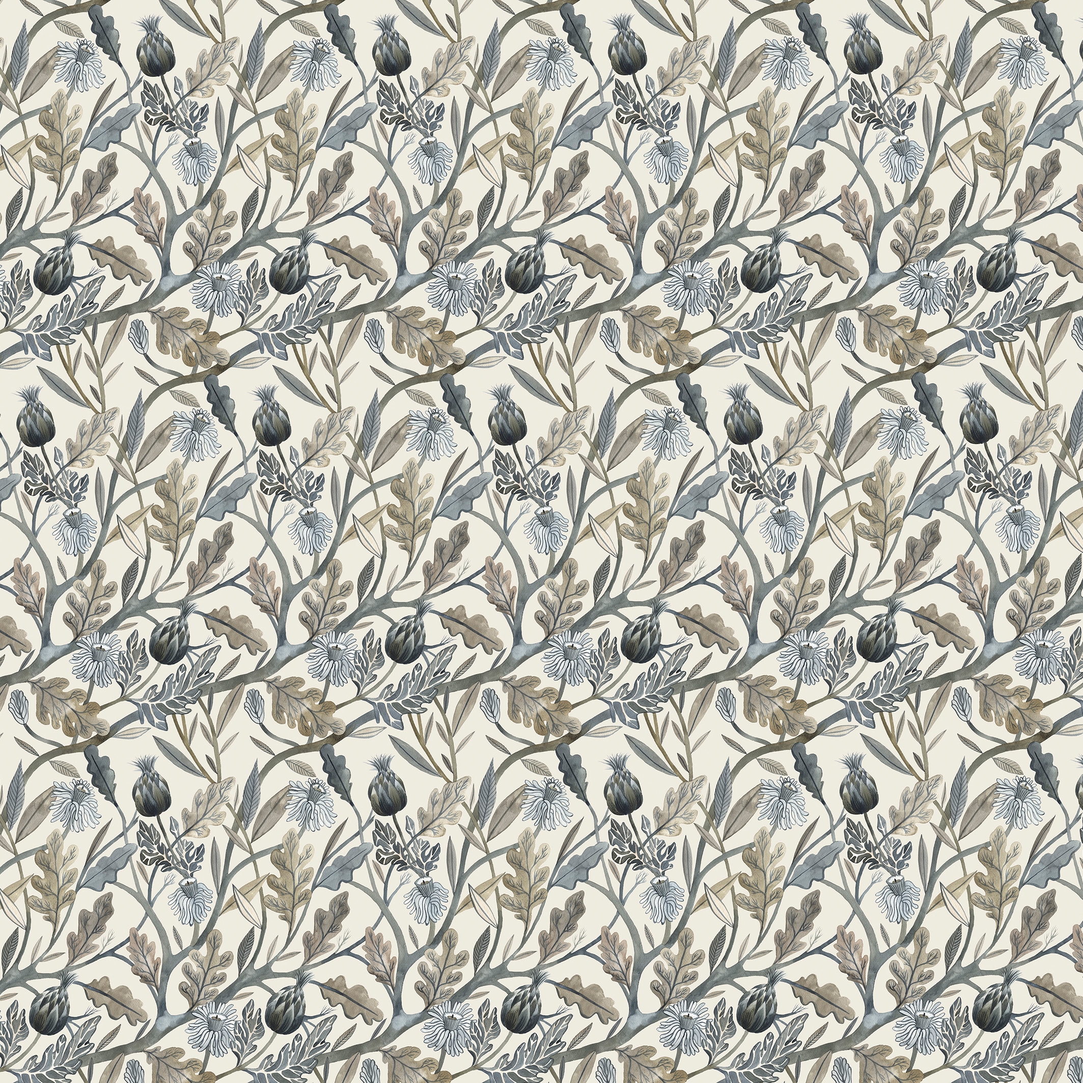 Francesca Greco | Cardoon