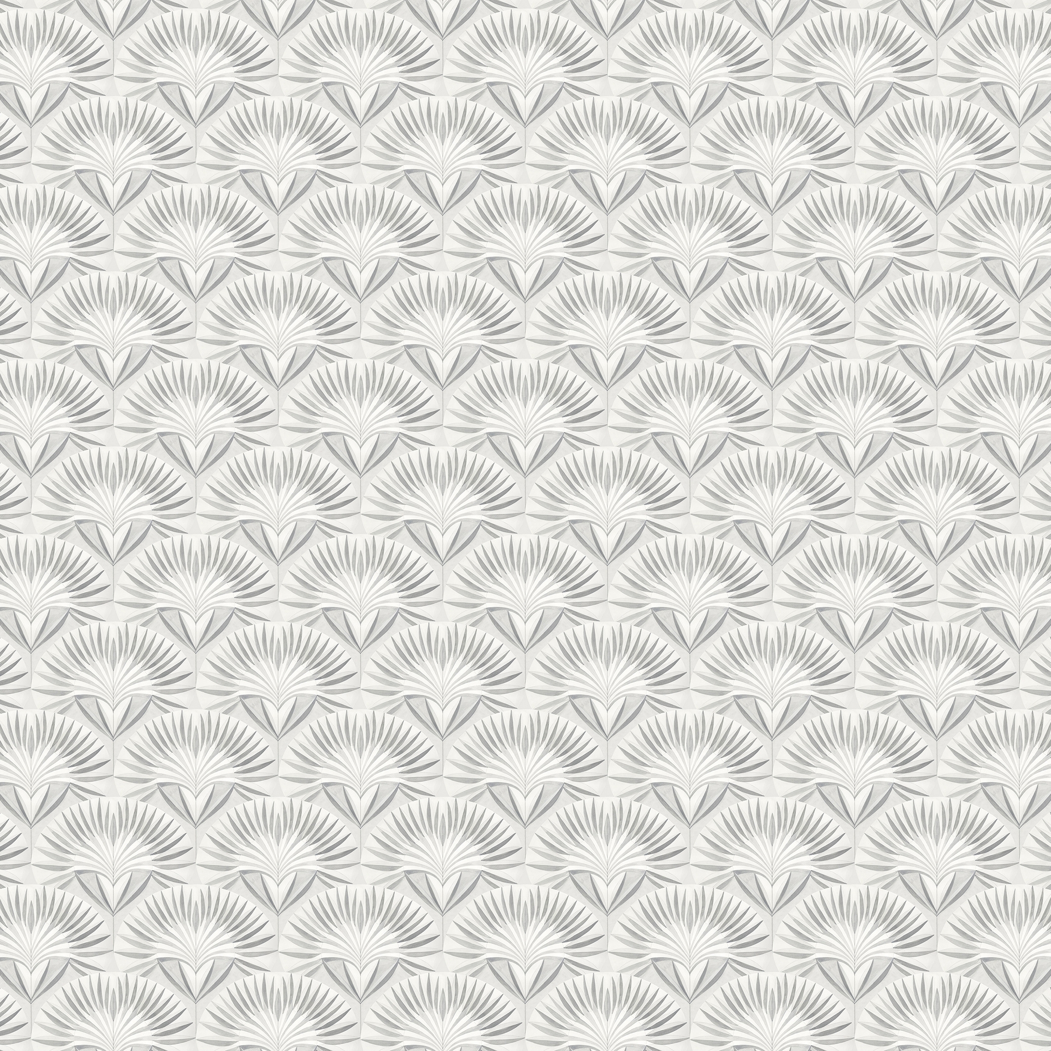 Francesca Greco | Corolla