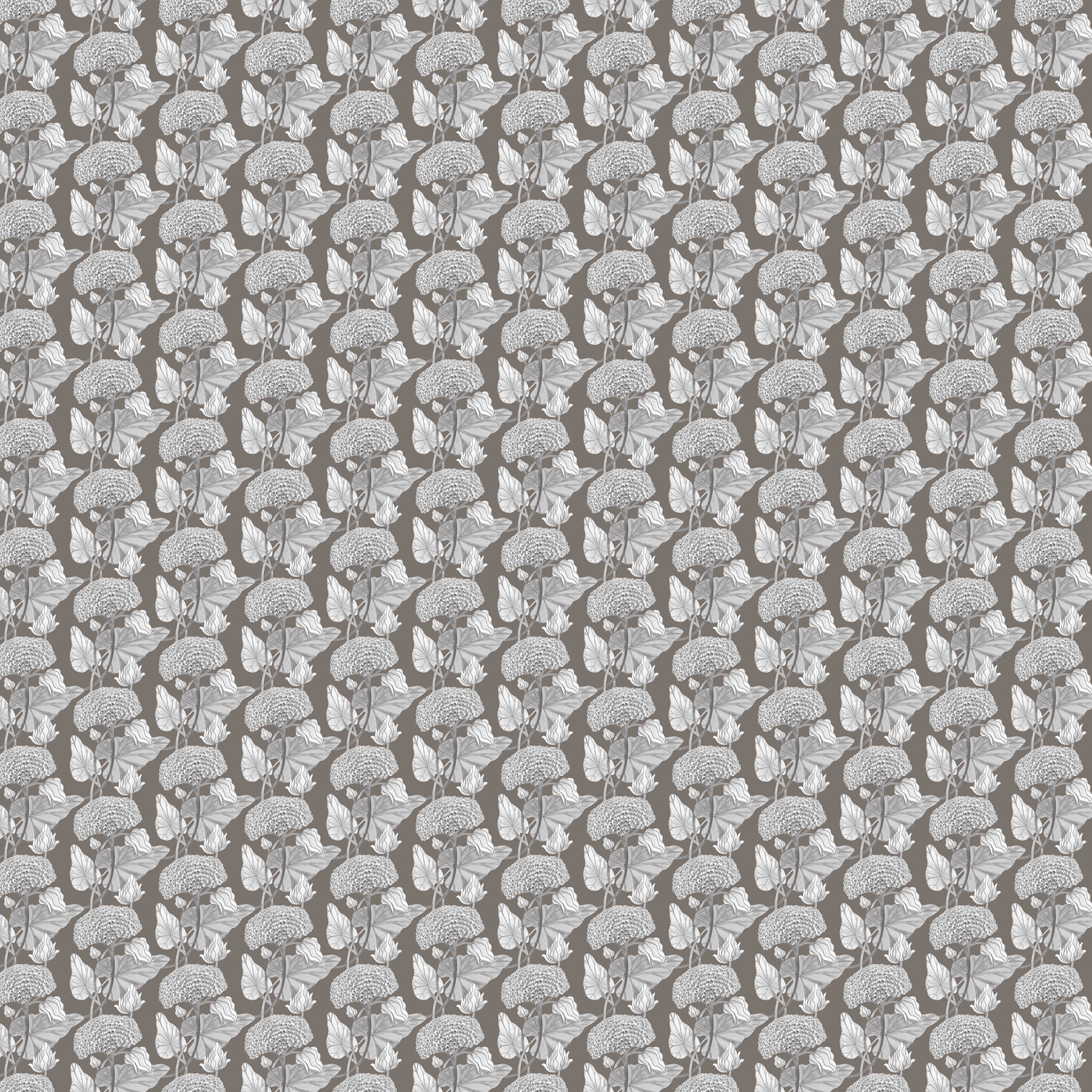 Francesca Greco | Ivy