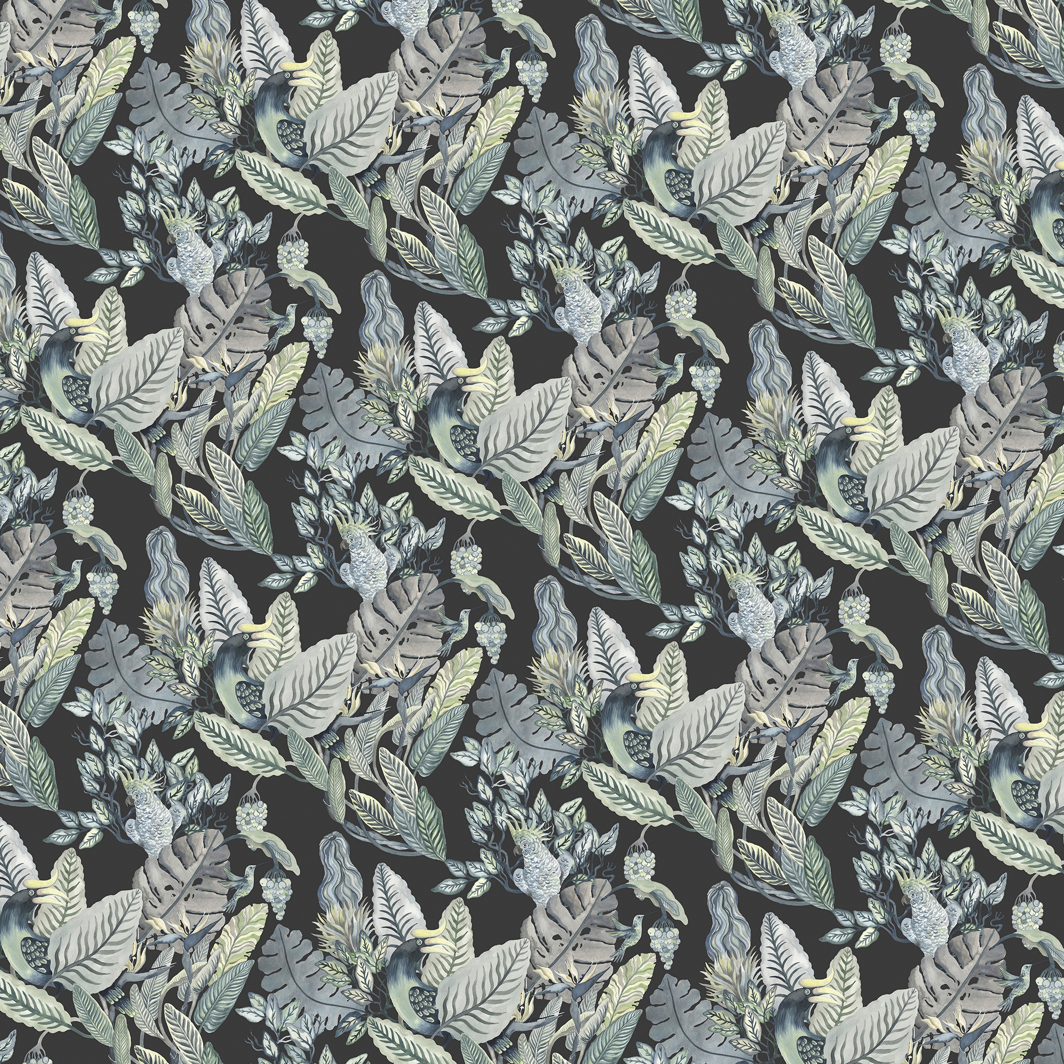 Francesca Greco | Rainforest