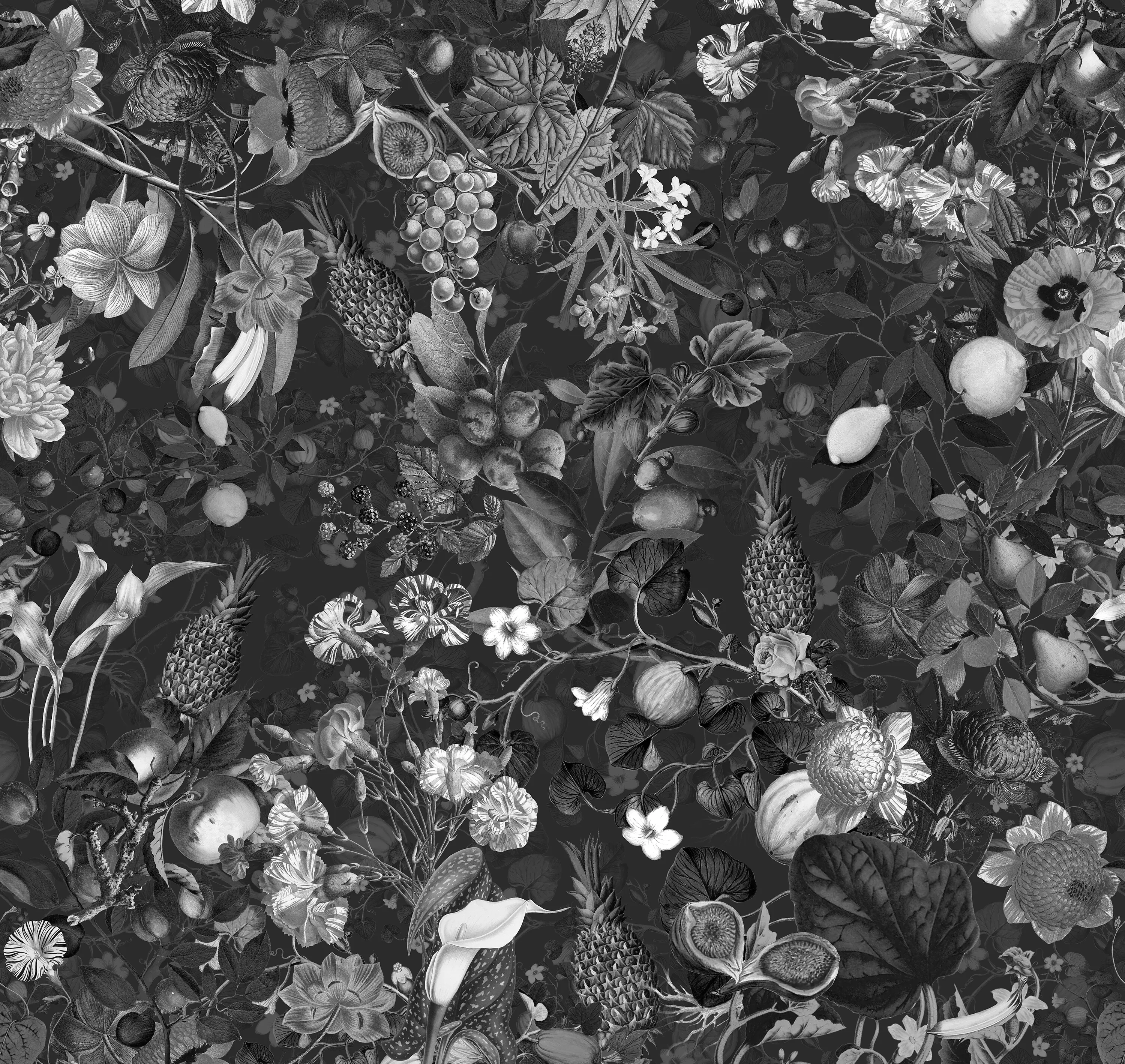 Devon&Devon - Vito Nesta | Botanica