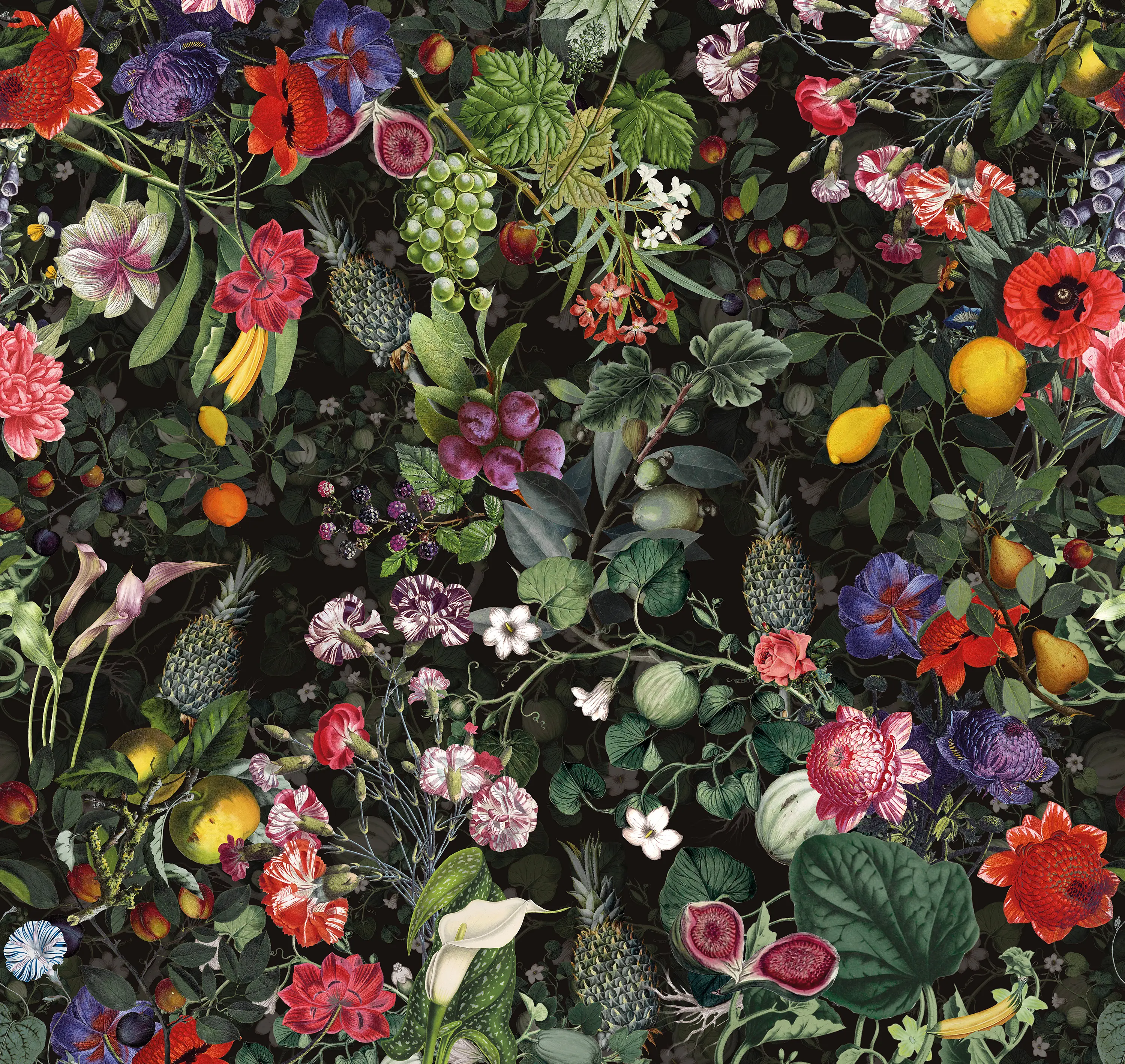 Devon&Devon - Vito Nesta | Botanica