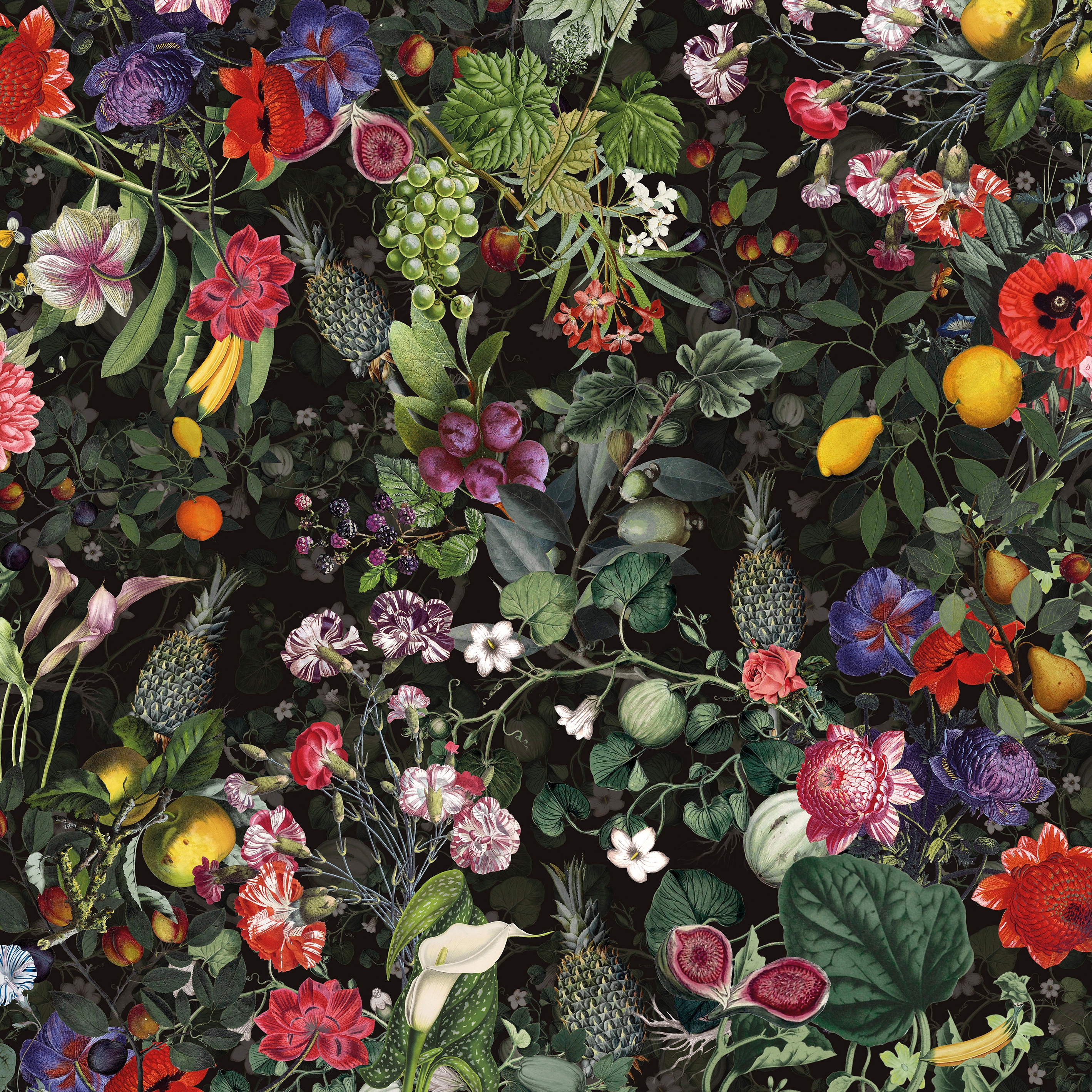 Vito Nesta | Botanica