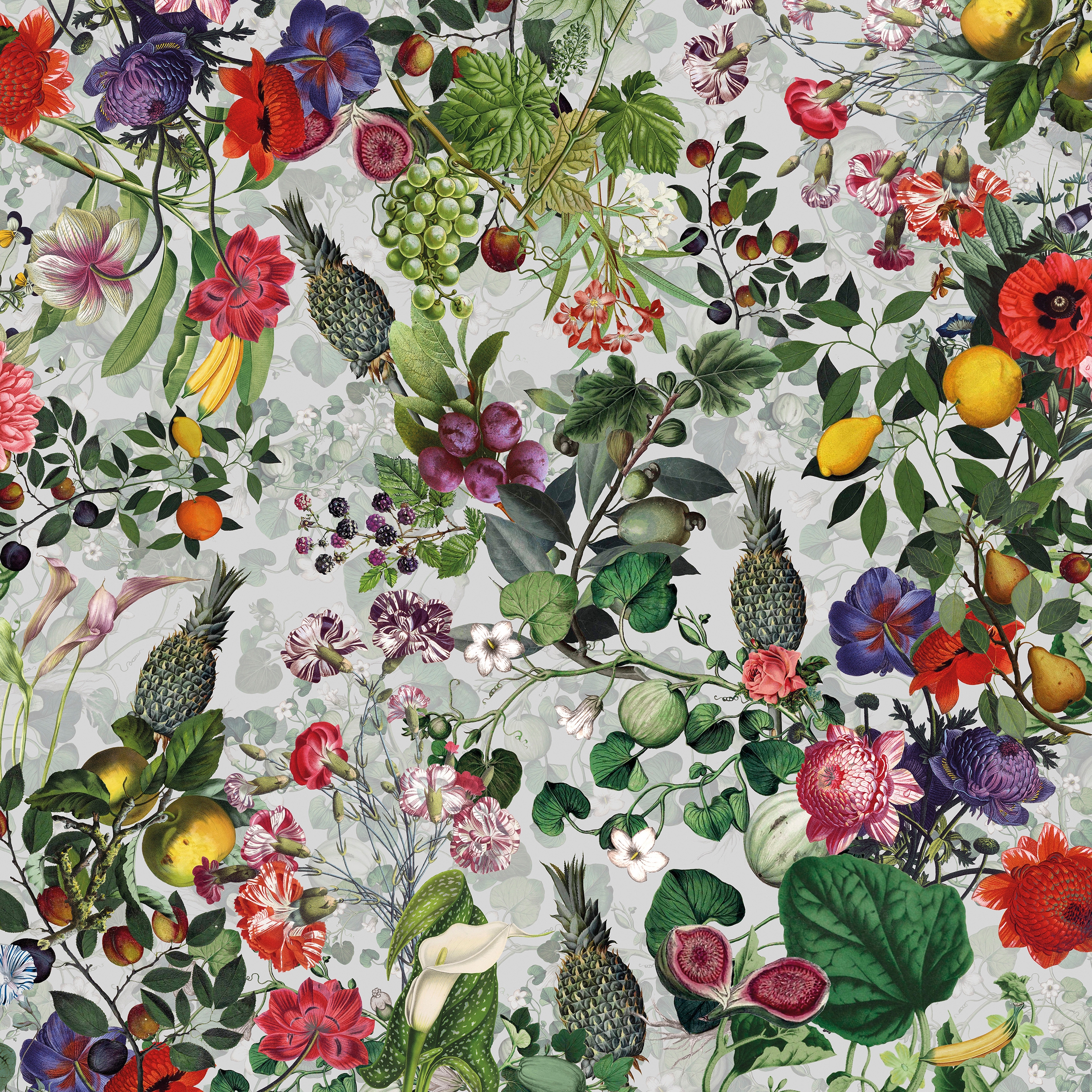 Vito Nesta | Botanica