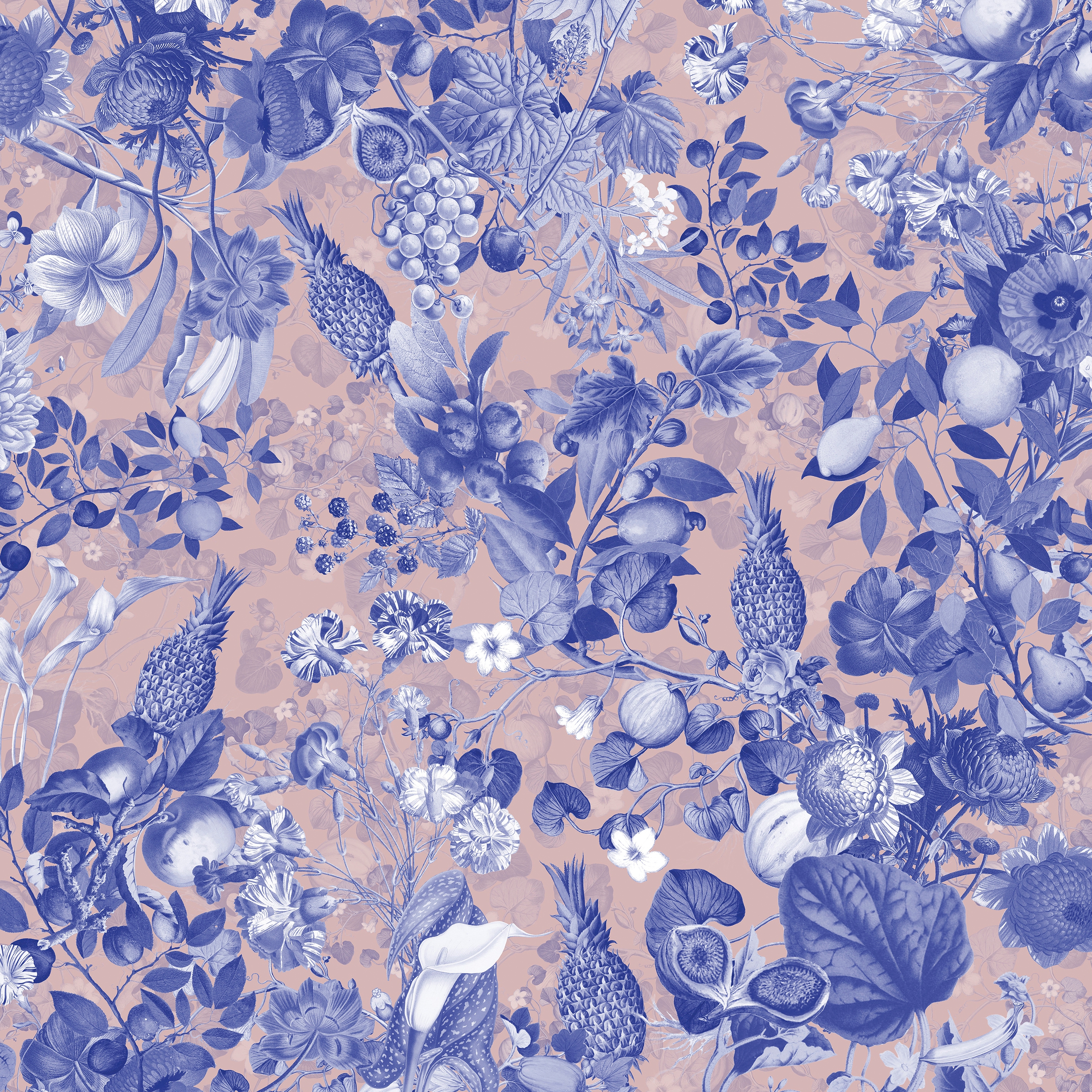 Vito Nesta | Botanica